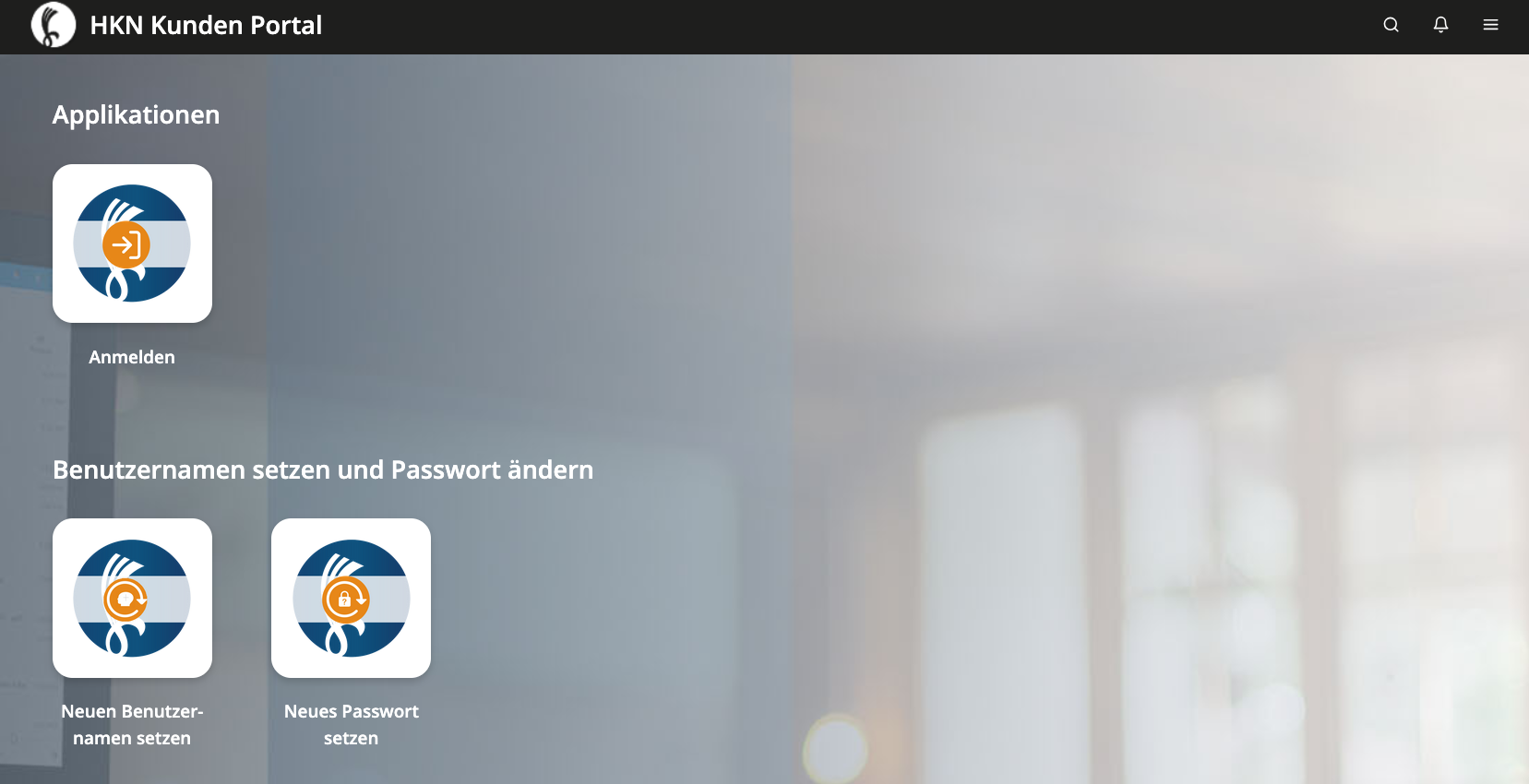 HKN Kunden Portal – Applikation Domain/SSL Verwaltung mit Anmelden-Button